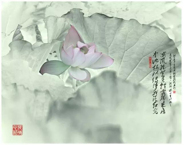 最是缠绵花间词，美到落泪