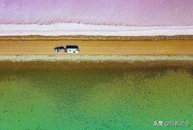 重忆｜2015新疆高考语文作文——《在热爱的世界里闪闪发光》