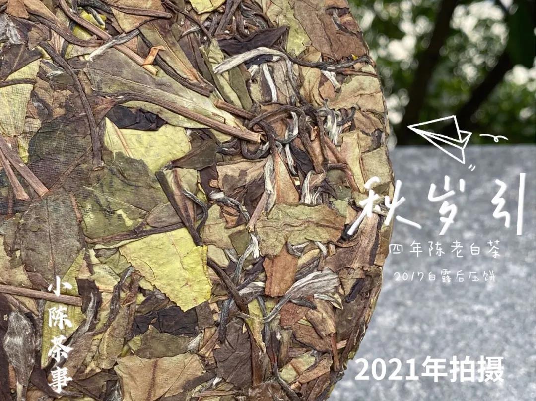 洗茶、闷泡、悬壶高冲，看过5点细节，带你告别错误的白茶冲泡法
