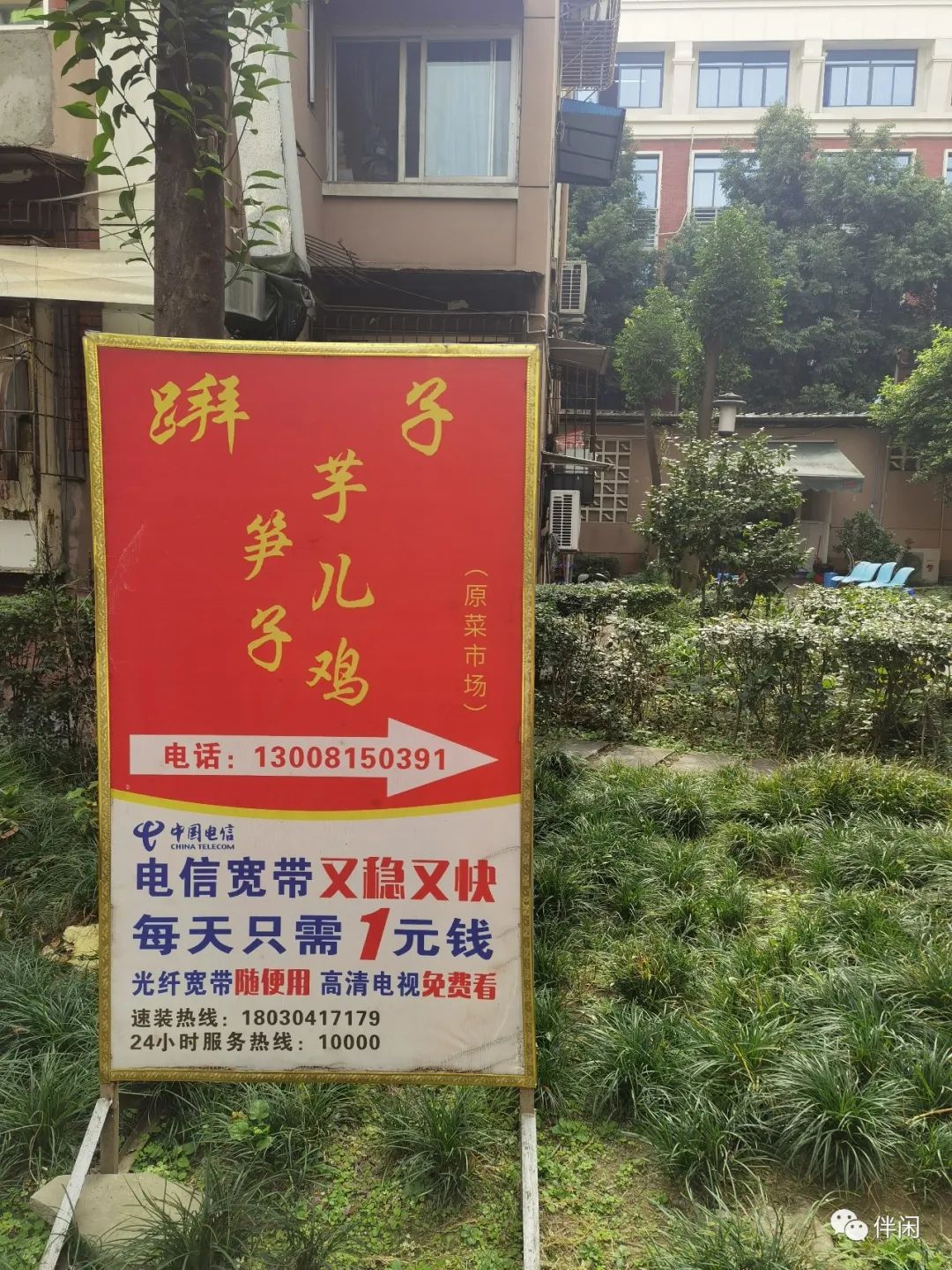 走街串巷游成都：火车南站的宝藏小区--和平小区