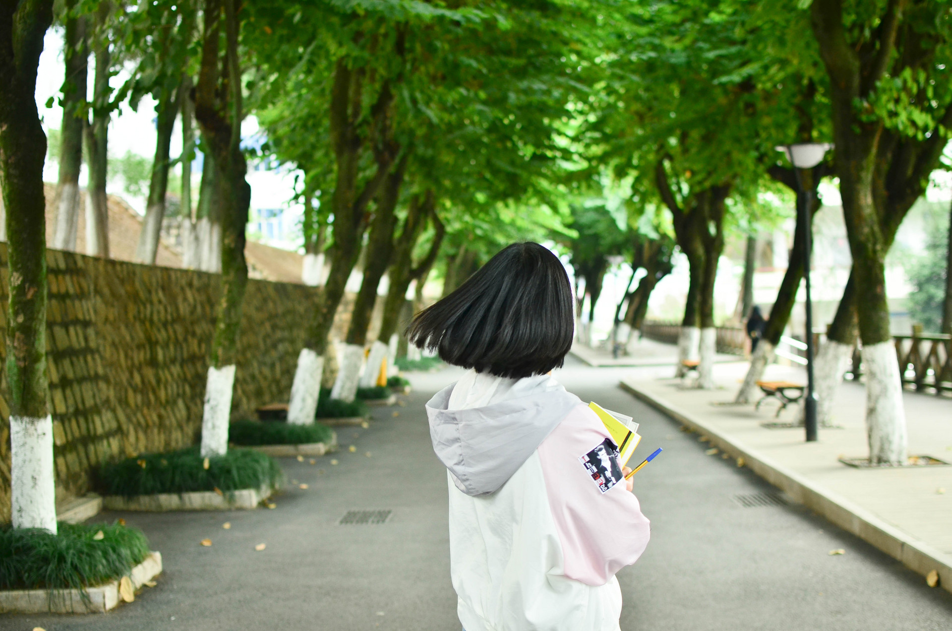 升本备考信息｜2019年湖北医药学院普通专升本各专业考情
