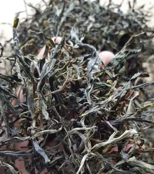 普洱茶几十元到上万元一斤，为何差距如此之大？