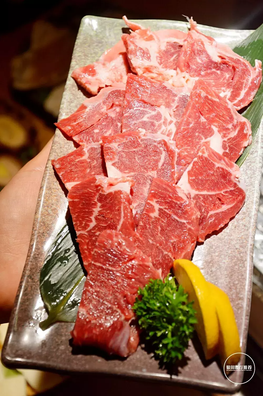 银川最美居酒屋，深藏大树下