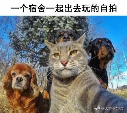 揭秘大学生的真实日常！