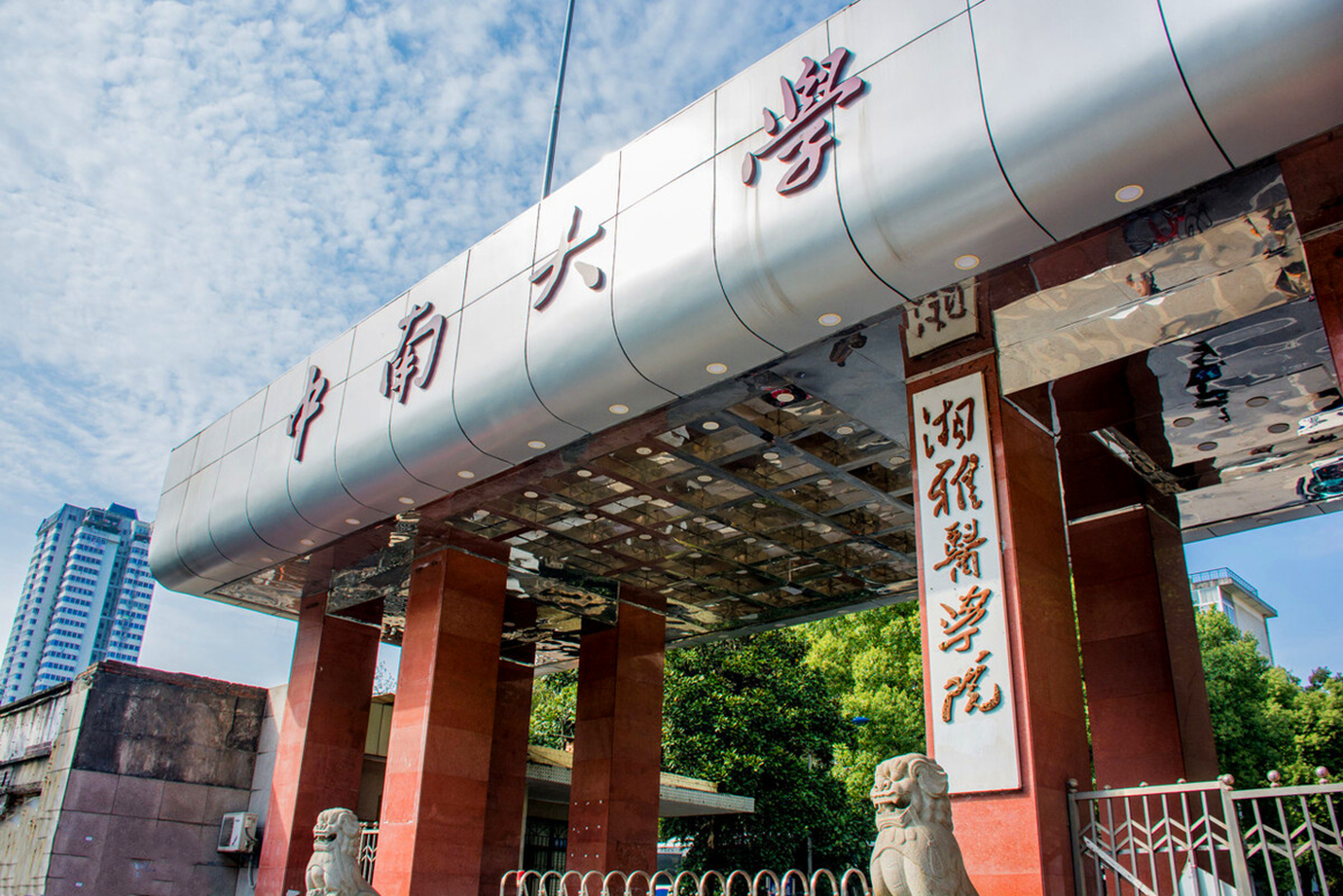 中南大学刘路（大三破解世界数学难题）