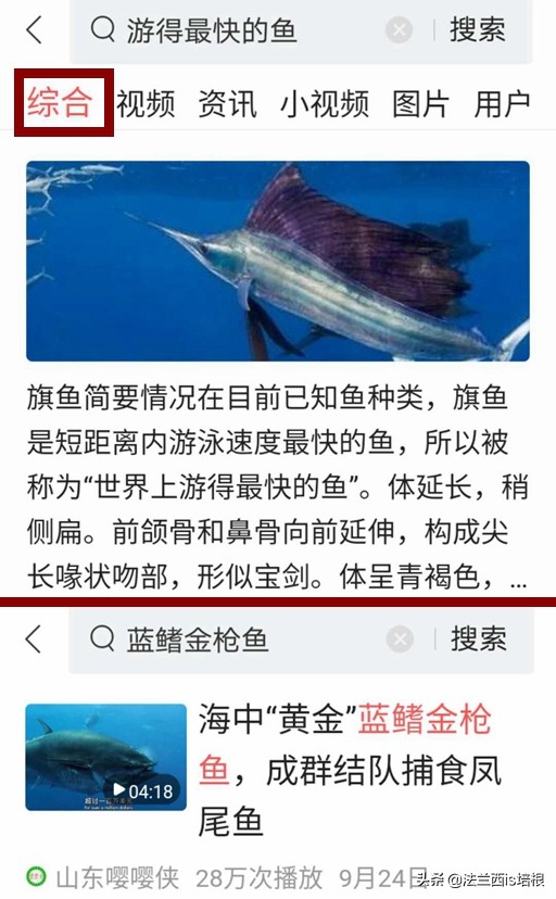 旗魚劍魚金槍魚,為什麼能遊那麼快?