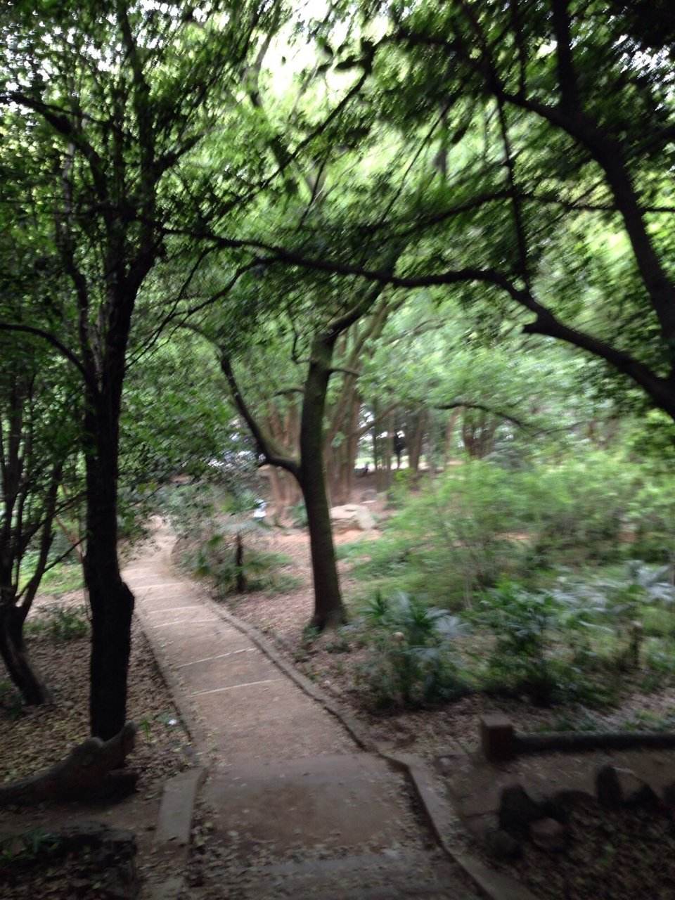 湖北大学推荐之最美的大学—武汉大学，愿做梦想的起点