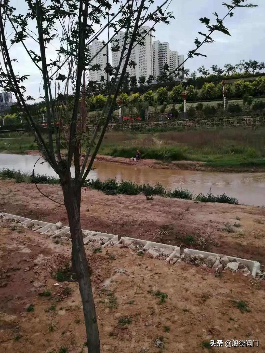 般德团建丨放下手机,放肆游戏,发现身边的乐趣