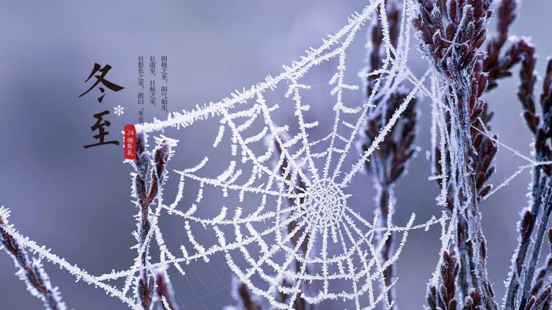 诗词鉴赏-冬至已至 春归有期，十首经典的冬至诗词，温暖如诗