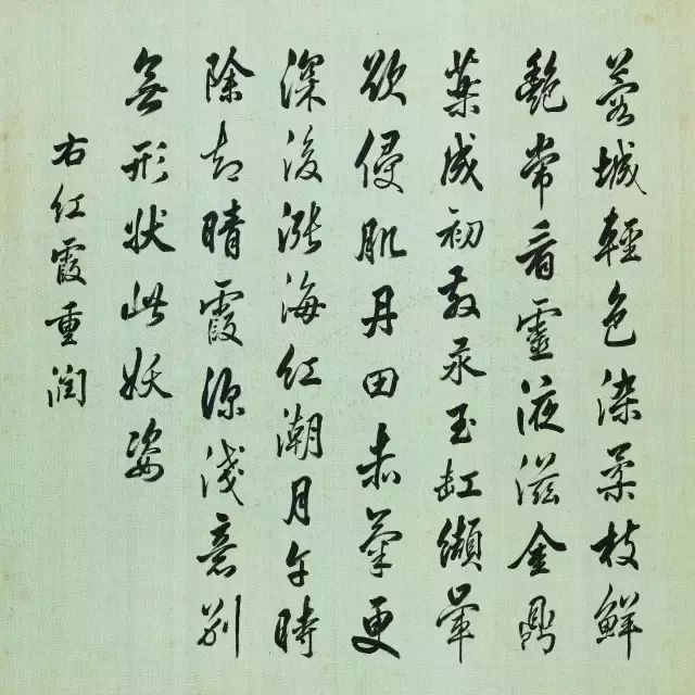 一朵牡丹价值超过100万,魅力何在?