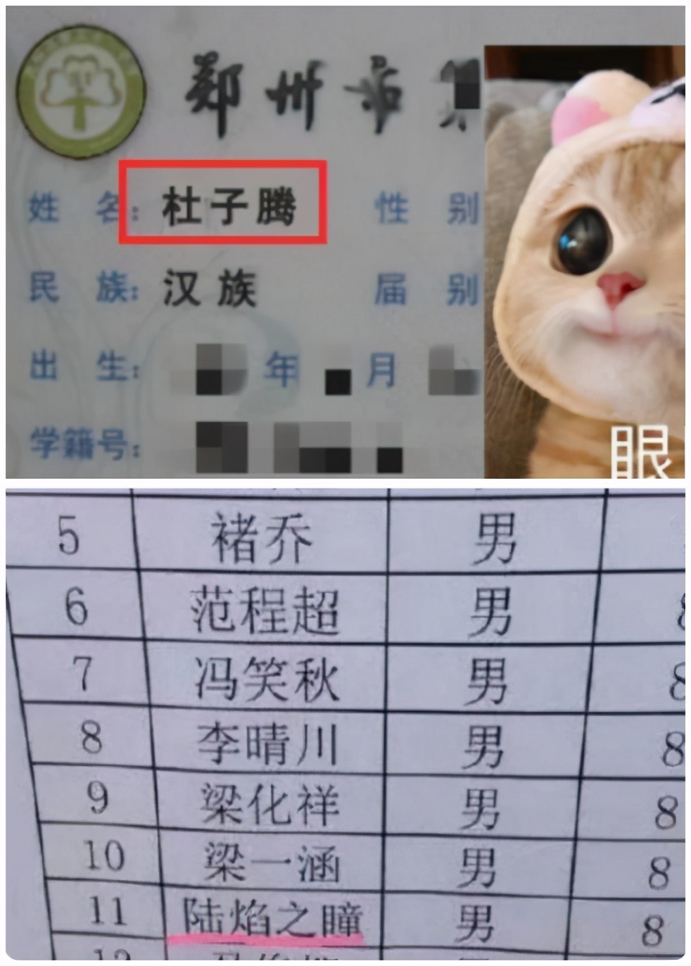 大学生因名字独特走红，霸气程度五颗星，或是全国独一无二的