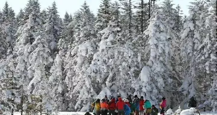 人生到处知何似，应似飞鸿踏雪泥，长白山一片雪白，等你留下脚印