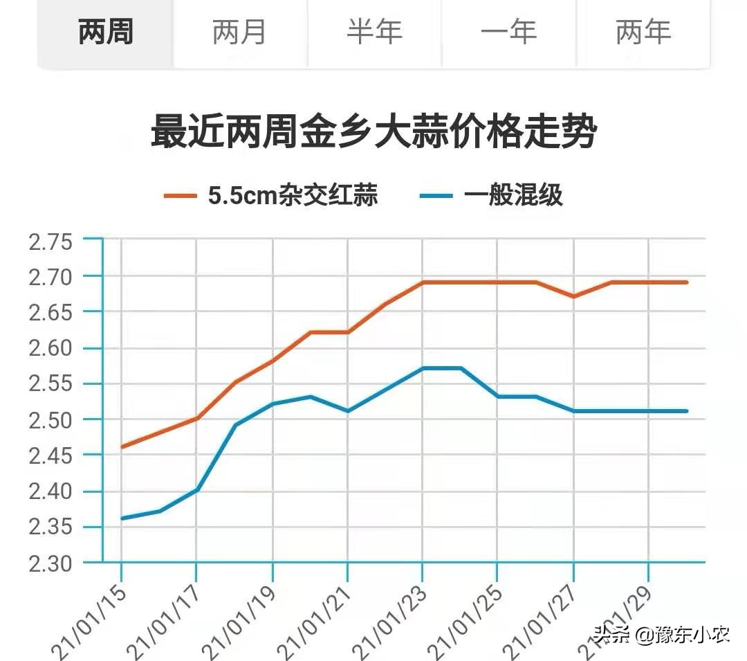 有人出资5000块一亩承包现在的大蒜苗，作为蒜农该如何抉择？