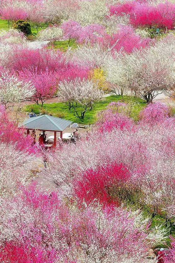 世界极致美景，一睹为快！