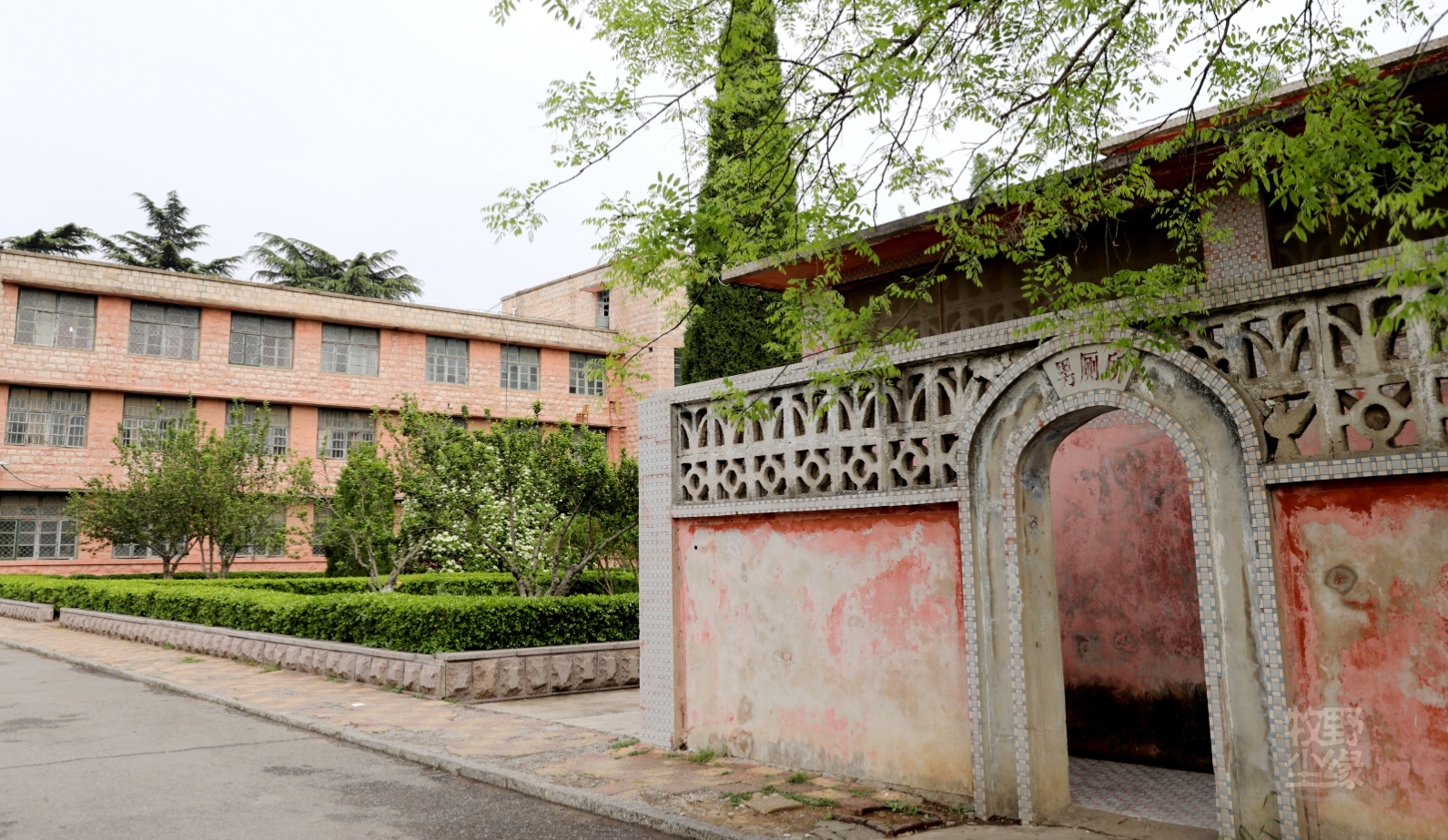 紫藤花开,临沂大学费县校区不是一般的美