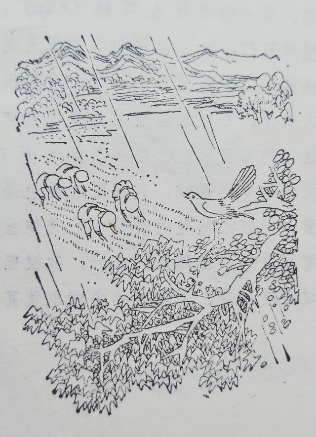 绝句欣赏 : 翁卷歌唱乡村四月，绍翁感叹春色满园