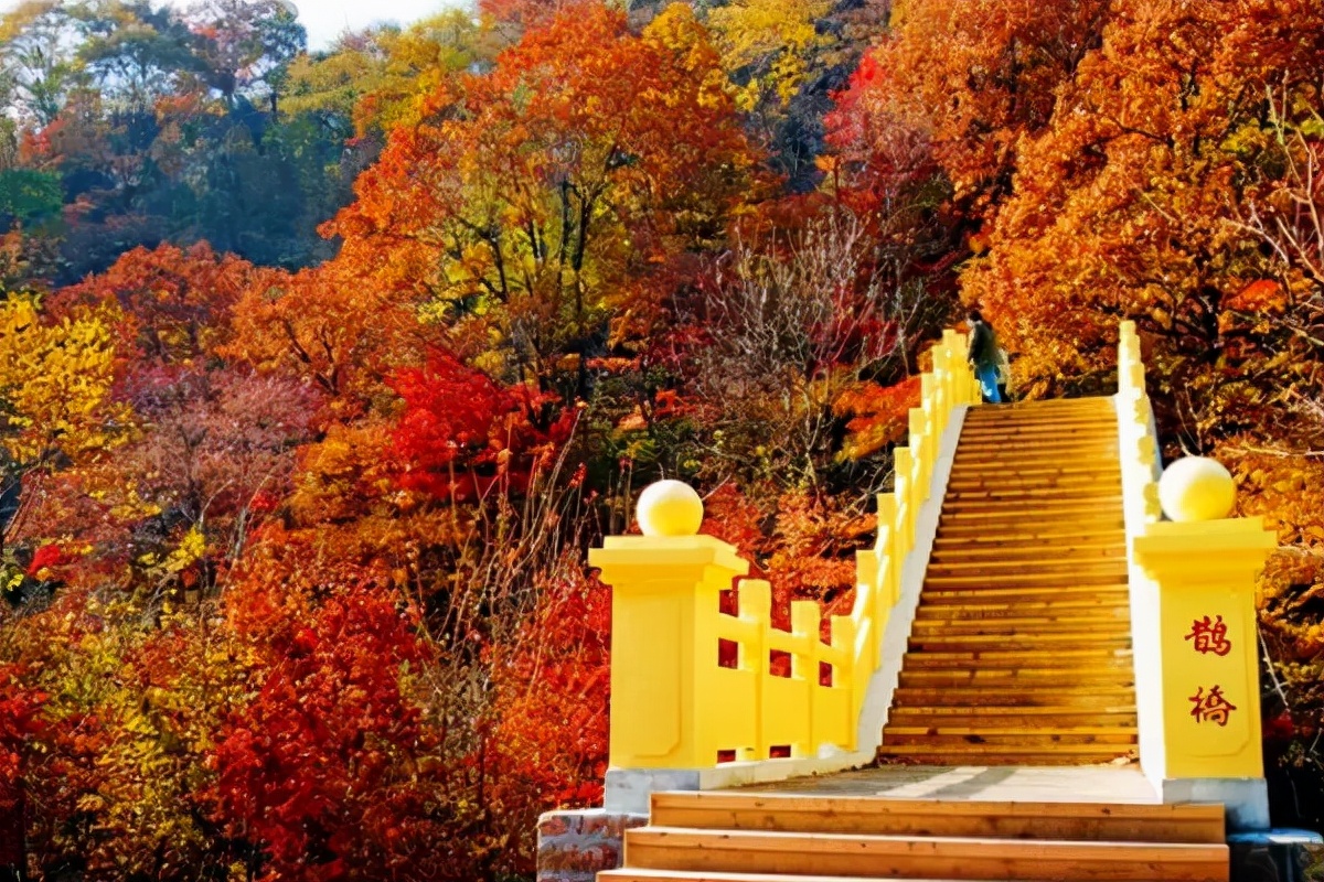 国庆赏秋该去哪？辽宁这6处景点千万不能错过，个个不输北京香山