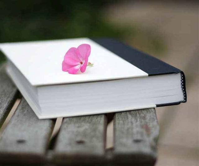 叶圣陶杯中学生作文赛获奖作品11篇: 篇篇都是满分作文的范文