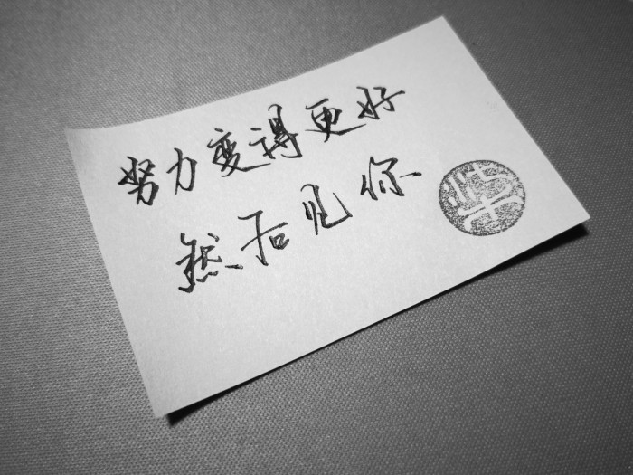 敬你一杯酒，从此莫回头，往事归零，爱恨随意，我干杯，你随意