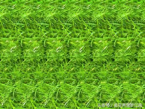 几张简单的三维立体图