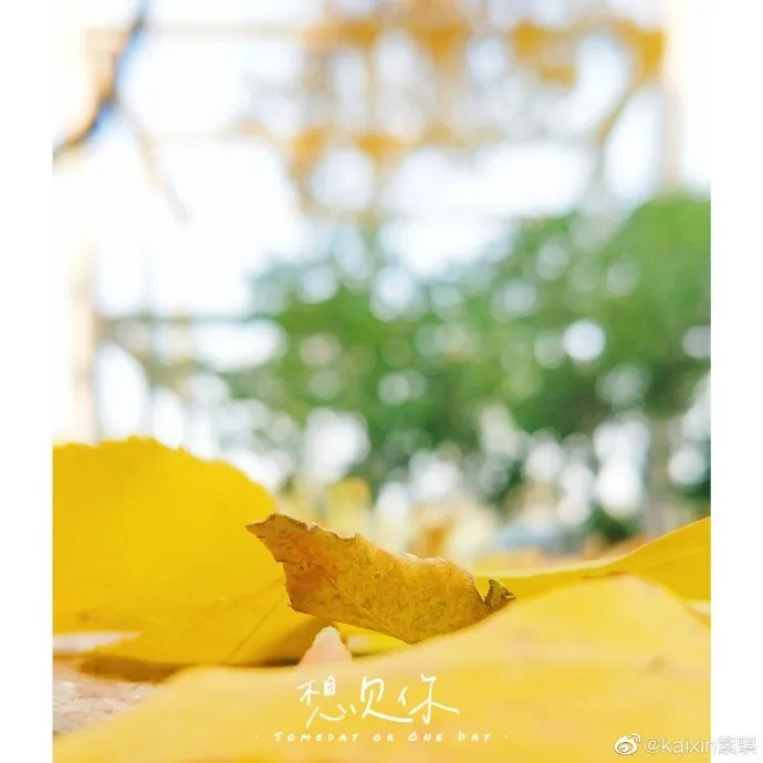 今年的南开大学录取通知书，火火火了