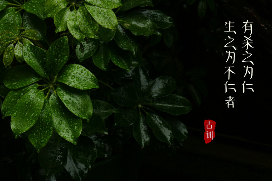 古人五句金言，道破克制小人的绝技！