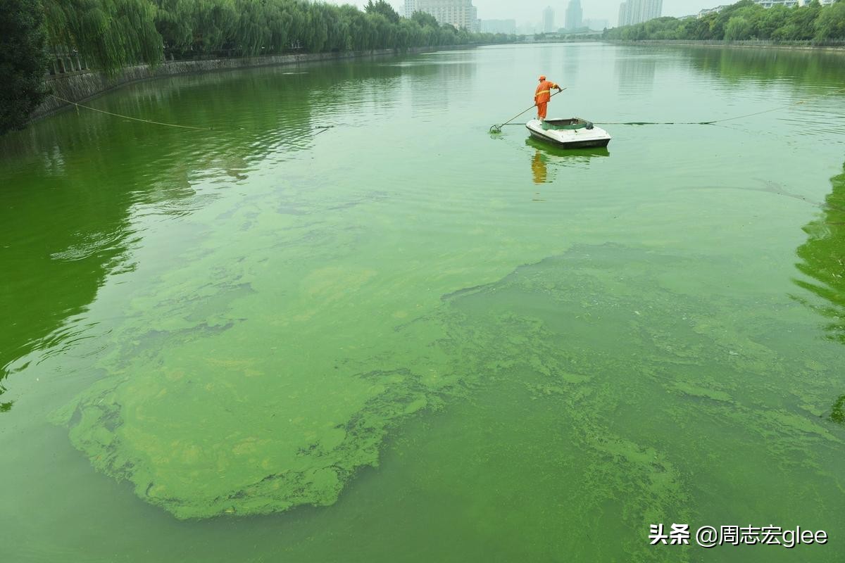 地球的空气从哪里来？聊聊你不知道的空气史