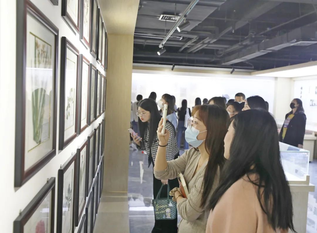 潍坊市中医院开展“中医药周”系列惠民活动