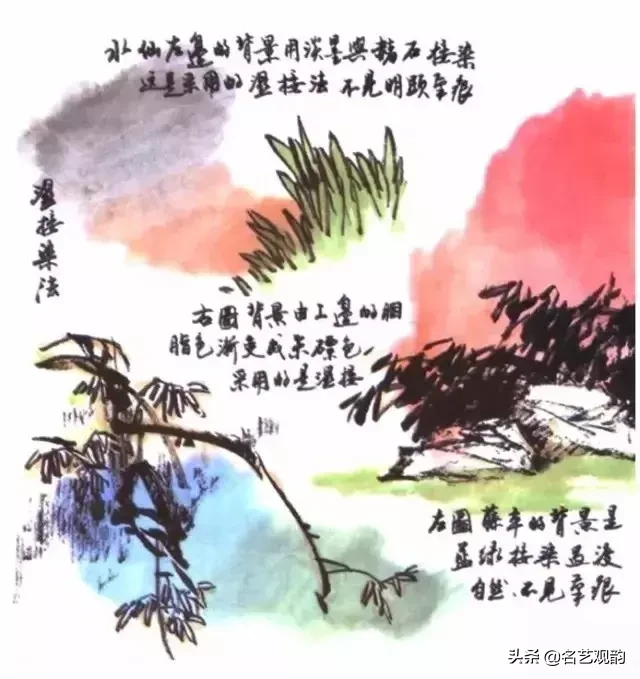 国画技法 | 写意花鸟画色彩技法详解之染色方法