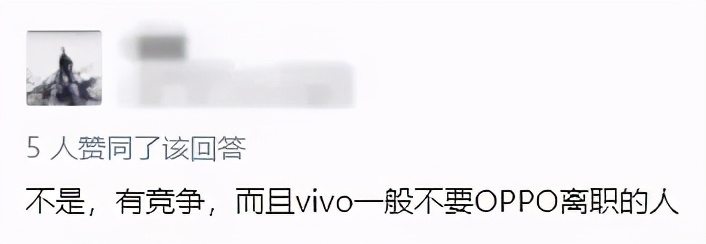 vivo公司（vivo公司总部在哪里）-第17张图片