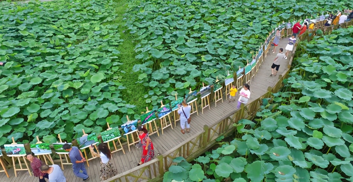 花间塘乡村旅游风情区(人少花多) - 悦闻天下