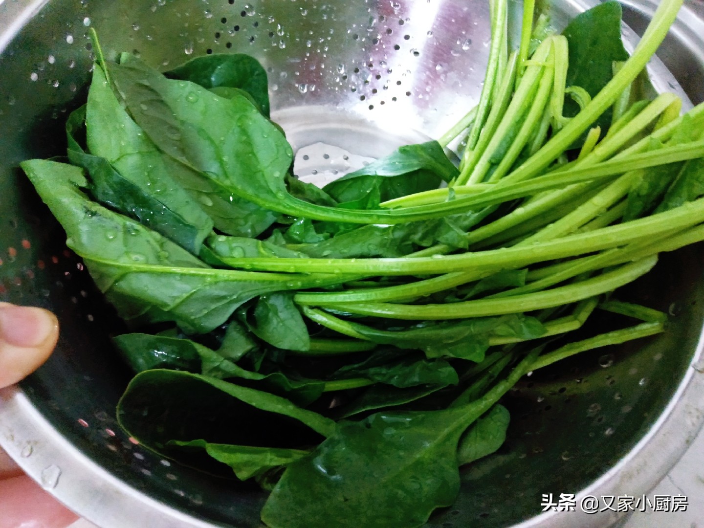1把菠菜，1碗面，教你在家做陕西特色面食菠菜面，翠绿养眼还好吃