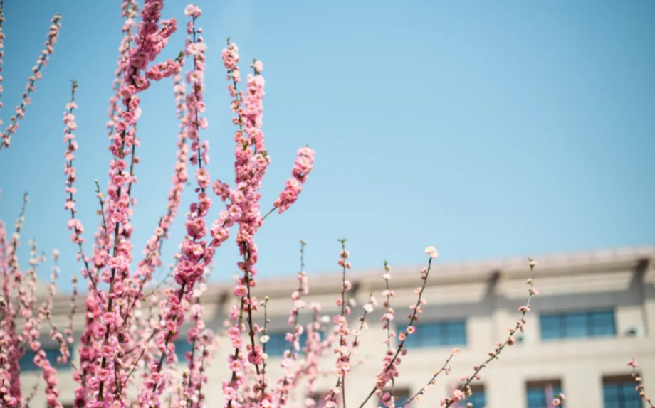 牛气！陕西这所高校一年走出3位院士，其中2人还是一个班