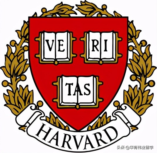 带你了解波士顿地区大学的那些王牌专业