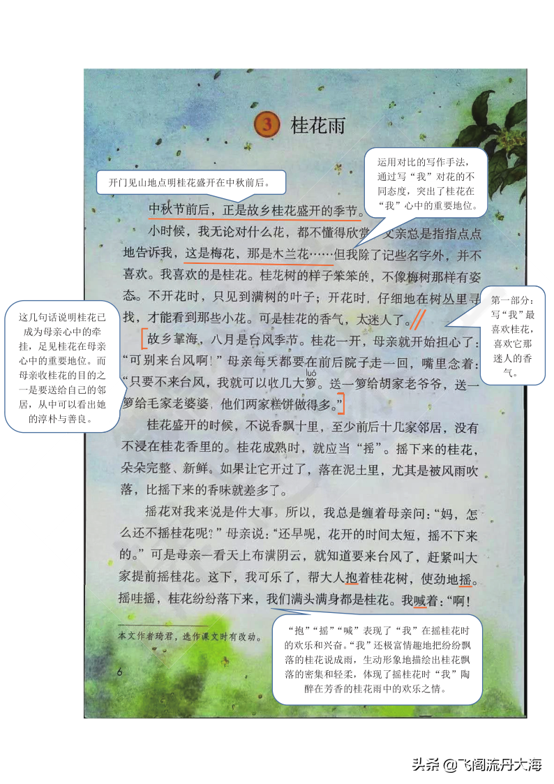 小学五年级上语文3课《桂花雨》课堂笔记、教案及练习题