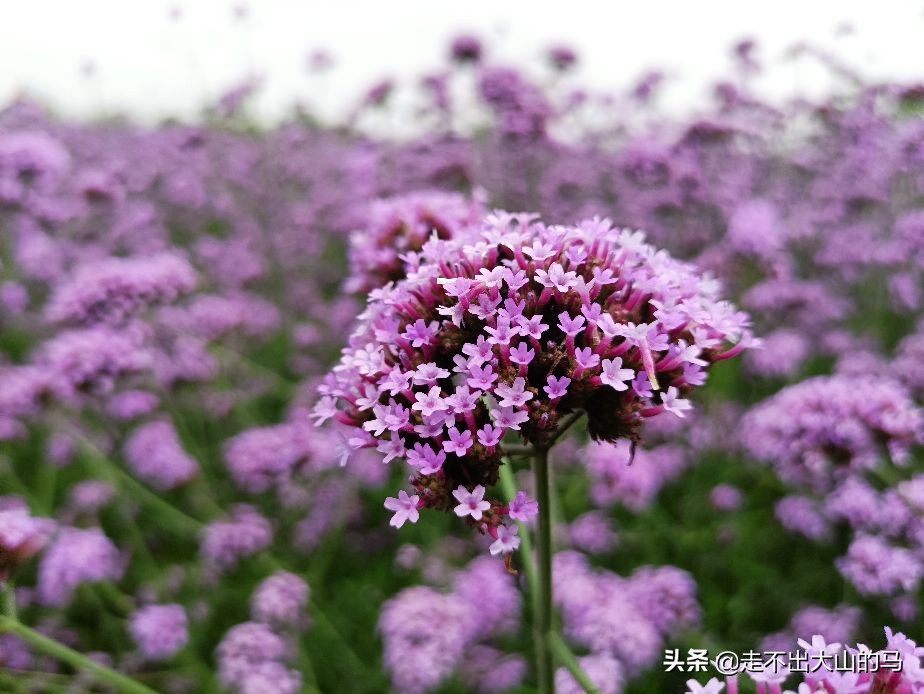 断舍离——我和老婆三十年的婚姻正在悄悄发生一种裂变