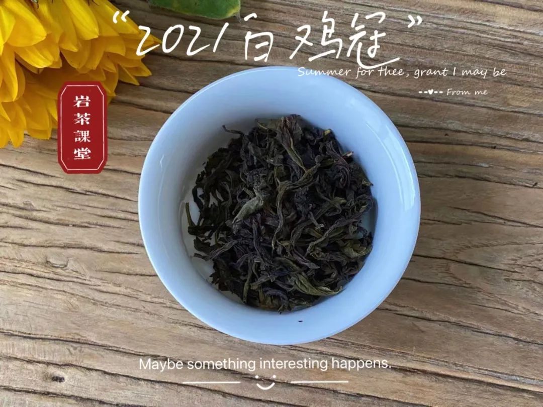 喝过牛栏坑肉桂的人，才算懂岩茶，岩茶入门的门槛这么高吗？