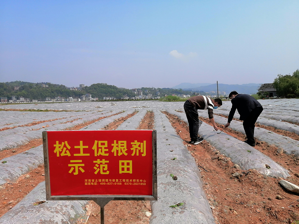 土壤培肥科學施肥才是農業種植提質增產的核心