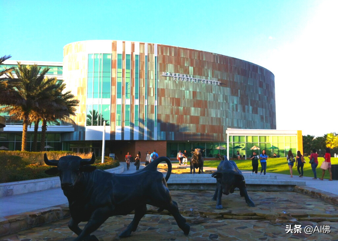 美国50所在大城市的最好大学