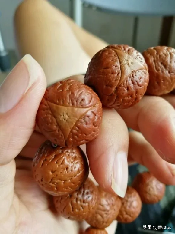 花了四位数,买了串凤眼,有人告诉我这是国产籽