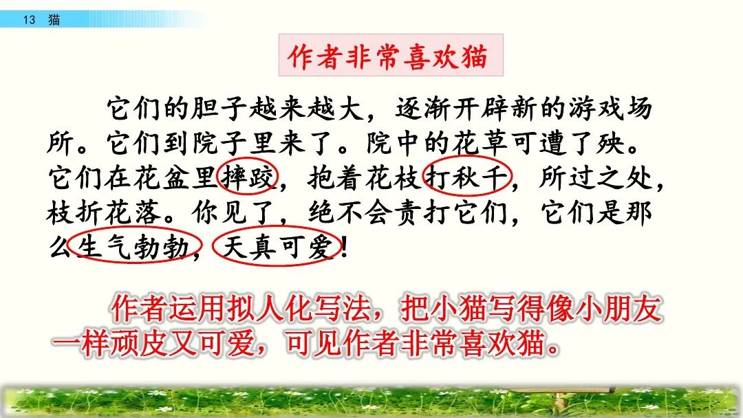 部編版四年級下冊第13課《貓》課文朗讀,知識點,圖文解讀