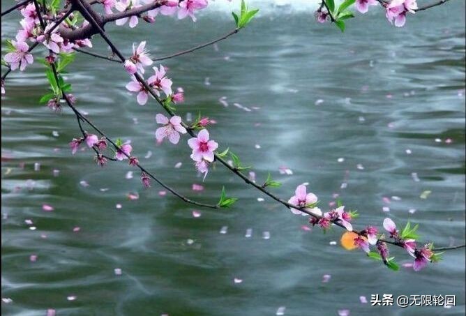 咏春雨的诗句有哪些(关于春雨的诗句古诗大全)