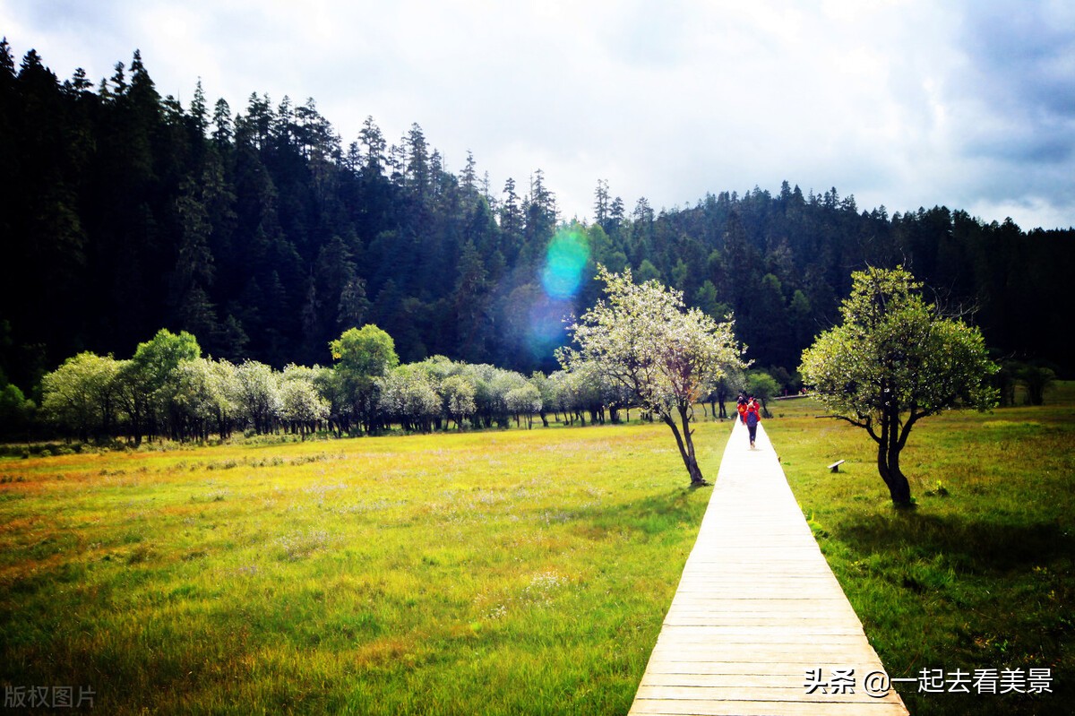 上高旅游必去十大景点推荐：香格里拉最美旅行景区全攻略