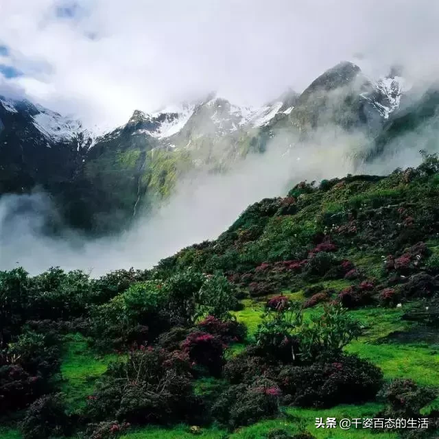全球最美的峡谷竟然在中国!有的未曾公开,有的尚未开发!