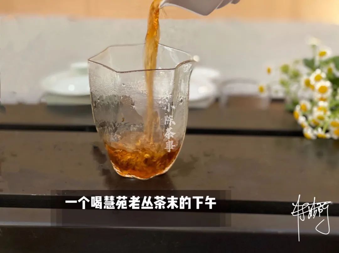 满大街的慧苑老丛水仙，你喝过几款真货？村姑陈带你拨开5点谜团