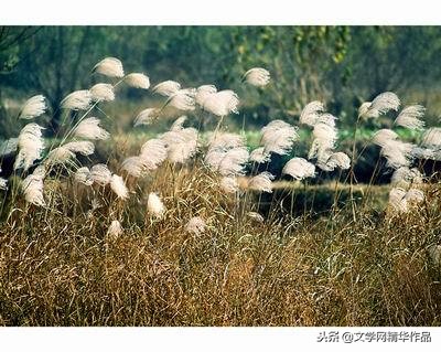 「配背景音乐」采桑子 冷冷西风