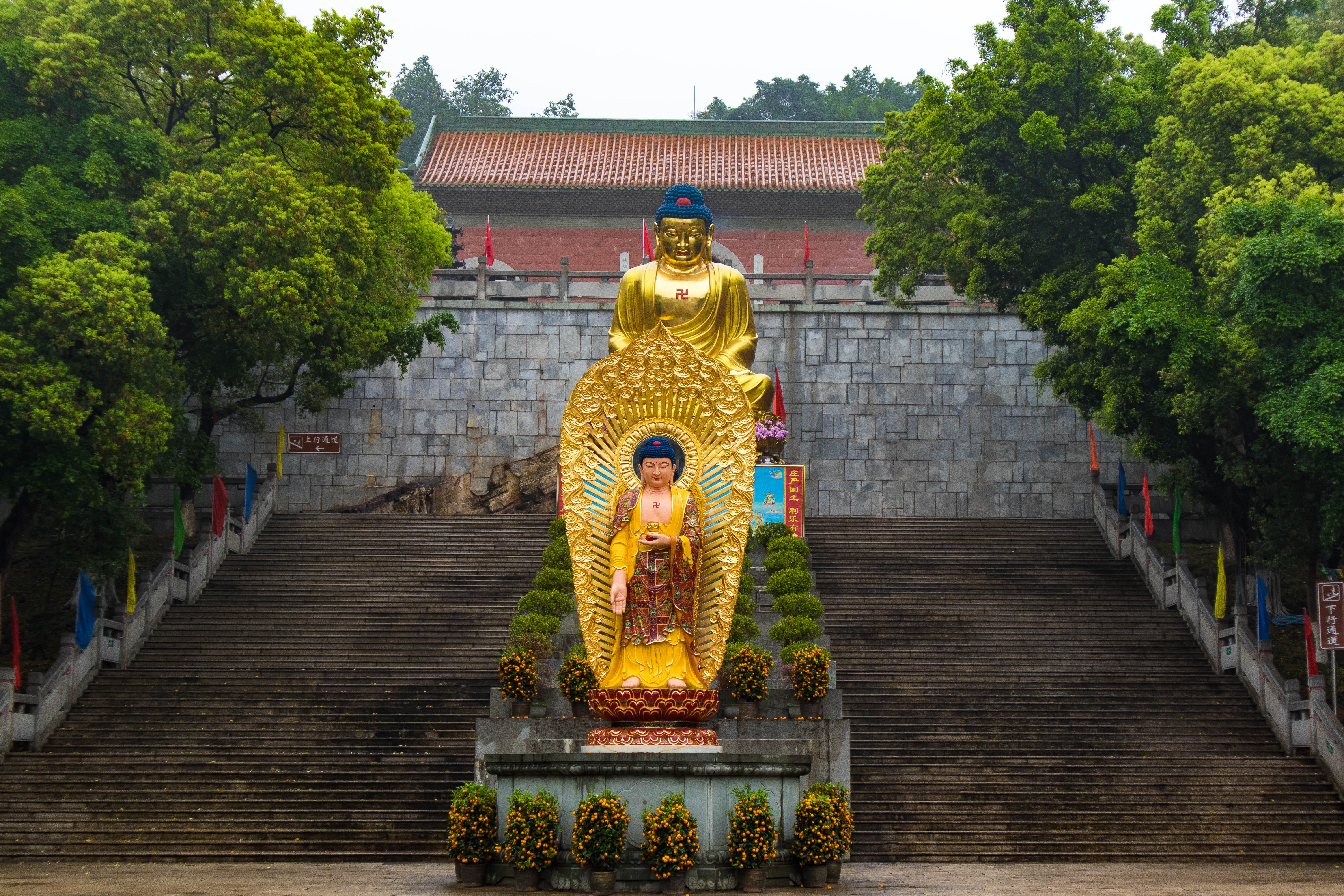 佛山寶林寺 寶林寺簡介-徐拾記官網