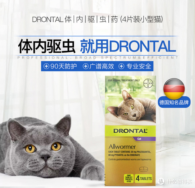 新手养猫指南——养猫一年我花了多少钱？看完我震惊了