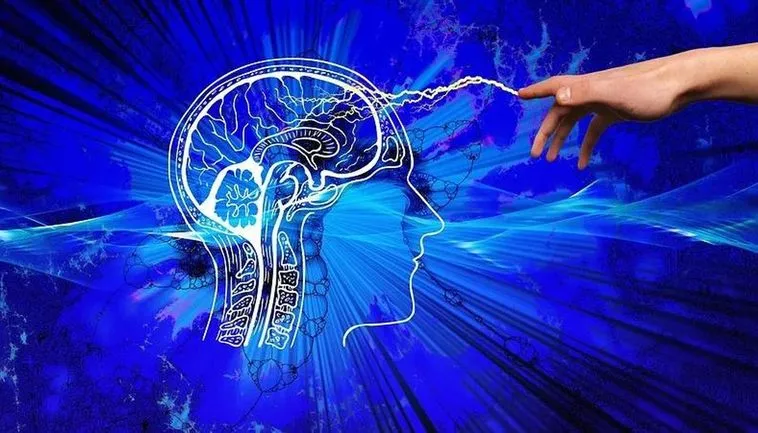 错误的记忆可以被逆转，“记忆操控”真的存在？