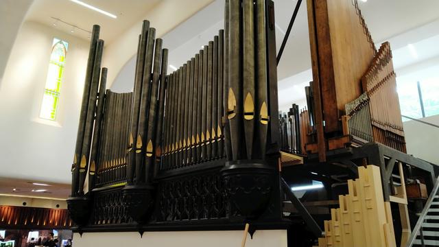 厦门三天三夜游，我只去了这三个地方，但却很满足